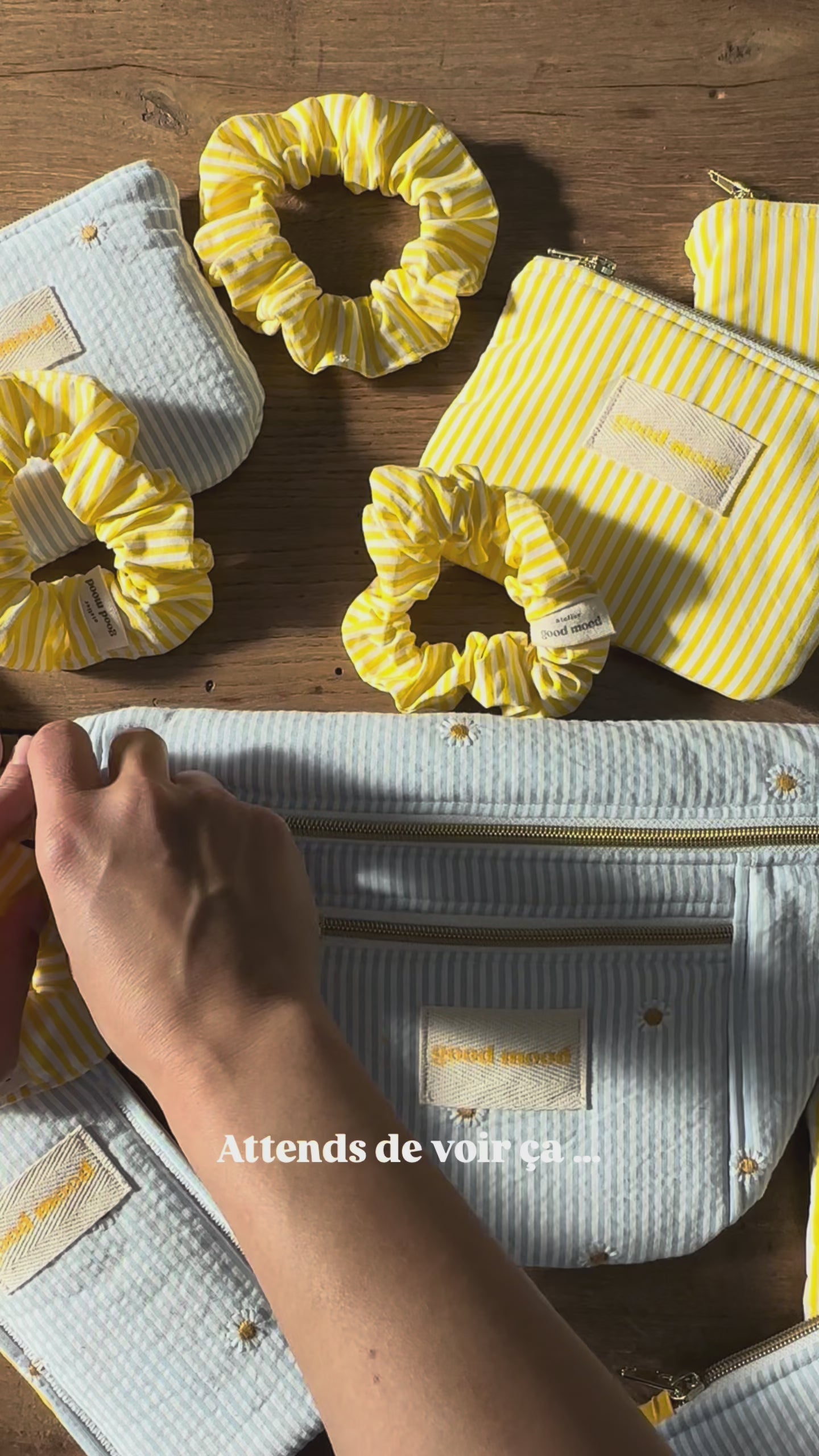 Charger la vidéo : 